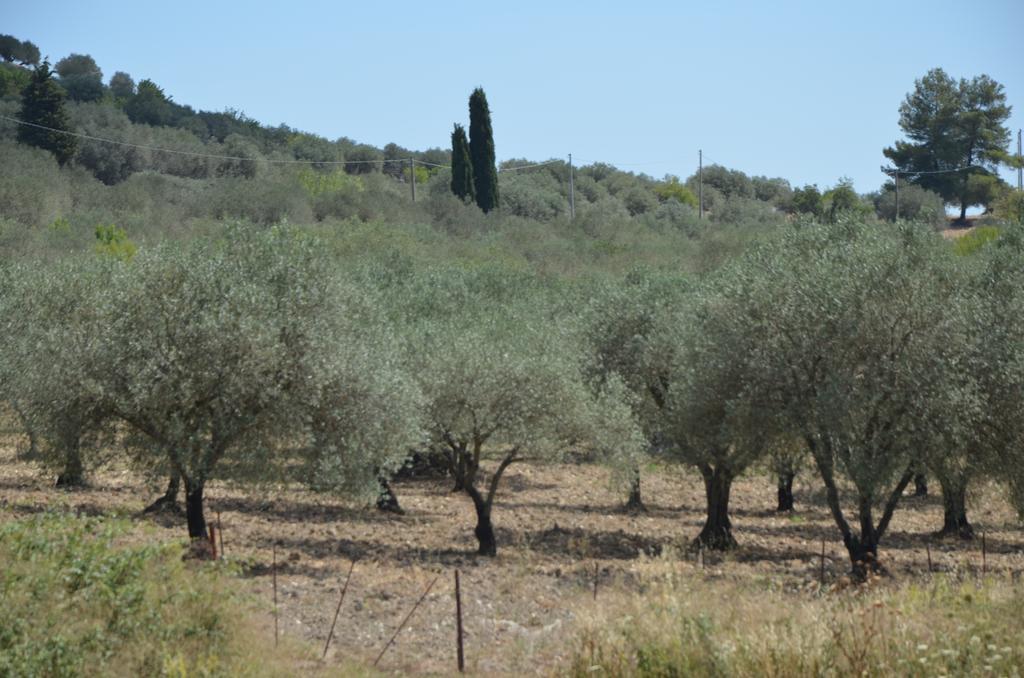 Le Case Di S. Andrea Buccheri Exterior photo